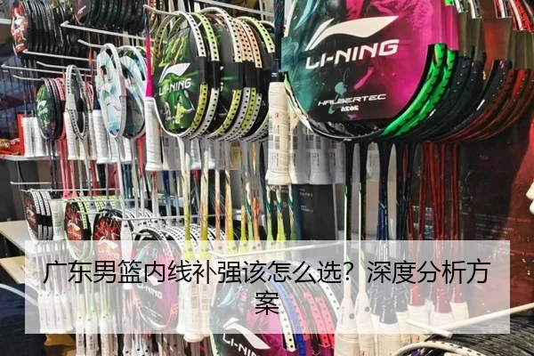 广东男篮内线补强该怎么选？深度分析方案